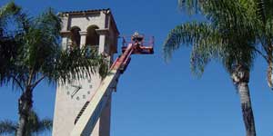 Bee Removal Long Beach CA Difficult bee removal using a 
      manlift.