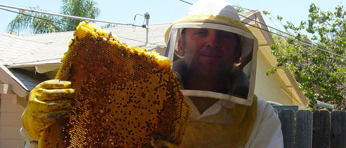 Long Beach Bee Removal Guys Tech Michael