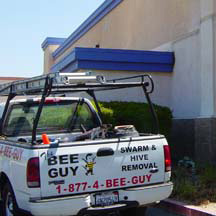 Long Beach Bee Removal Guys Service Truck